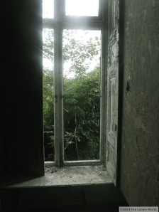 window 2